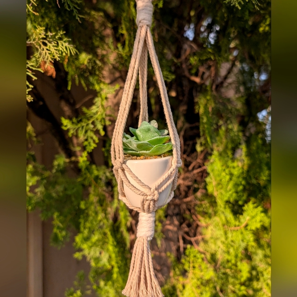 Macrame Car Charm Plant Hanger With Artificial Succulent